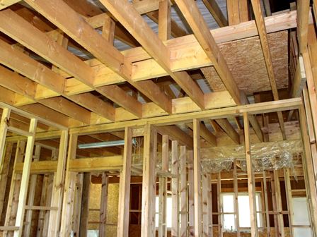 Priedes koka karkass mājai